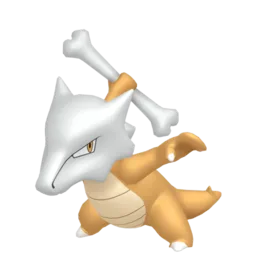 Image of the Pokémon Marowak