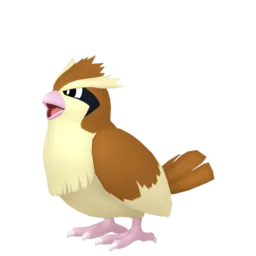 Image of the Pokémon Pidgey