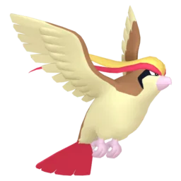 Image of the Pokémon Pidgeot