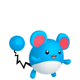 Image of the Pokémon Marill