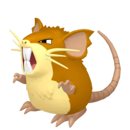 Image of the Pokémon Raticate