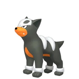 Image of the Pokémon Houndour