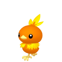 Image of the Pokémon Torchic