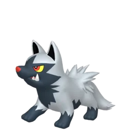 Image of the Pokémon Poochyena
