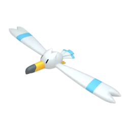 Image of the Pokémon Wingull
