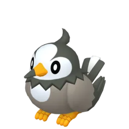 Image of the Pokémon Starly