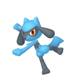 Image of the Pokémon Riolu