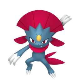 Image of the Pokémon Weavile