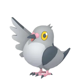 Image of the Pokémon Pidove