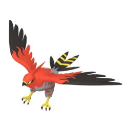 Image of the Pokémon Talonflame