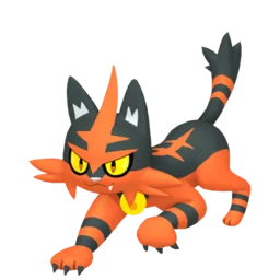 Image of the Pokémon Torracat