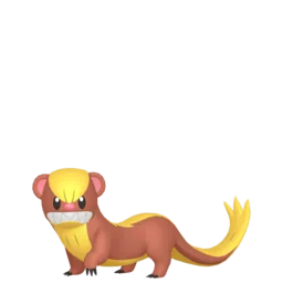 Image of the Pokémon Yungoos